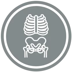 grey skeletal icon